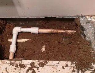 九龙坡测漏水哪家好