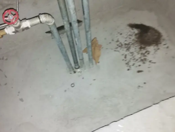 九龙坡卫生间测漏水价格明细