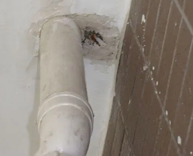 九龙坡漏水检测哪家好